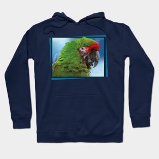 military macaw Hoodie